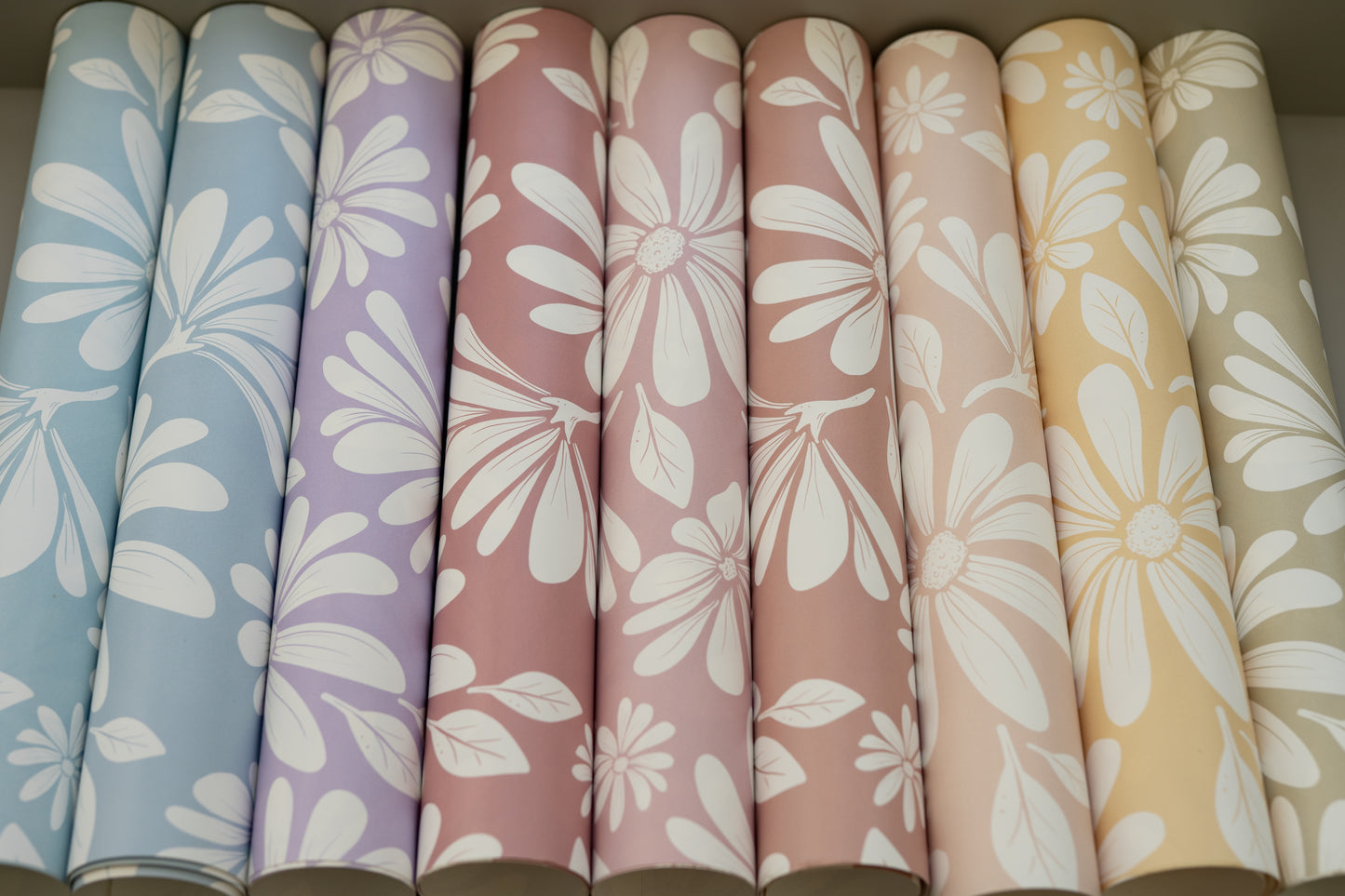 Matuu Daisy Bloom floral wallpaper mix – all color variations shown together