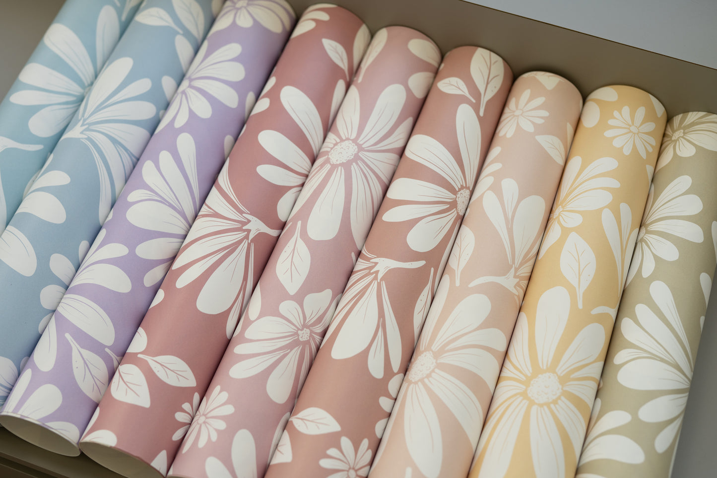 Assorted Matuu daisy wallpapers, including Deep Rose, shown rolled up in a box – pastel floral prints on display.