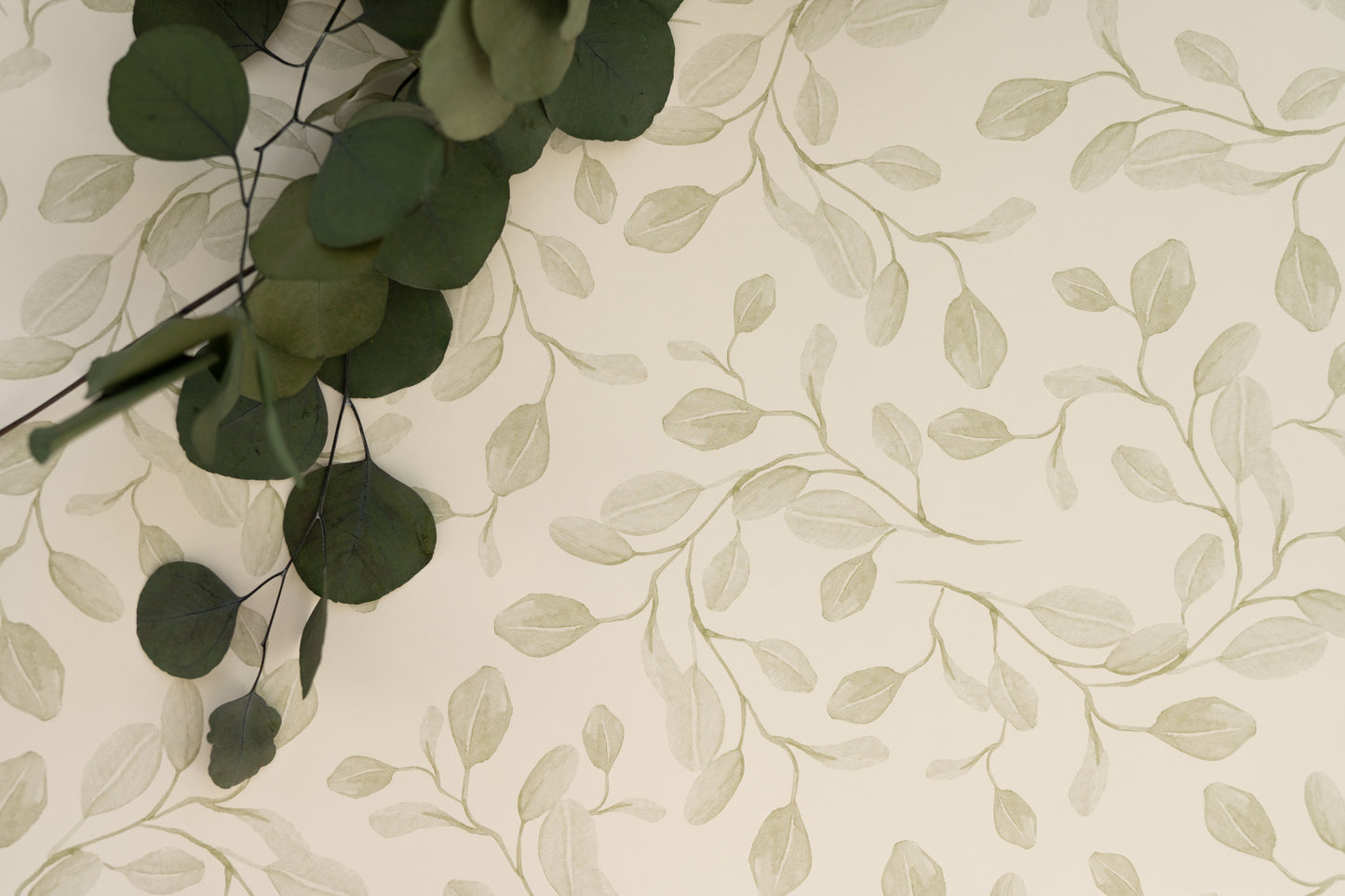 Eucalyptus Whimsy - groen behang